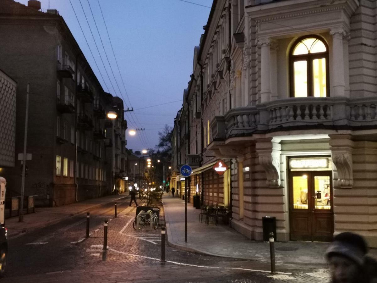 Center Apartment, Vilnius, Old Town Kültér fotó